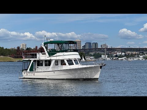 ウェア CAPTAIN SHELM TEAM 38 PLEASURE SEEKERS L CAPTAIN SHELM TEAM 38 PLEASURE SEEKERS L