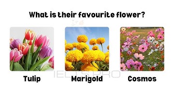 IELTS Life Skills Exam A1 Listening | Test 503 #ieltslifeskills #ieltslifeskillsa1 #listeningtest