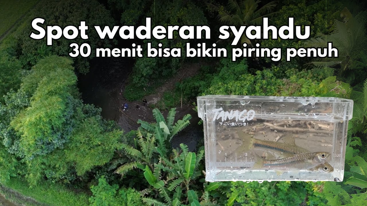 Strike Wader, spot mancing gacor di mlati beningan