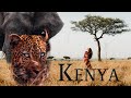 Unseen Stories | On Safari in Kenya