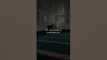 سورة الإخلاص - الآيات 1-4 - تلاوة ماهر المعيقلي
