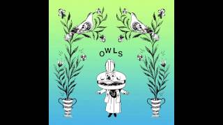 Video thumbnail of "Owls - Song #9 Demo"