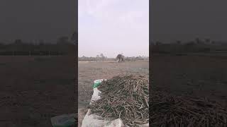 Aa Kash Kahi Assa Hota song love sad hindisong hindi 