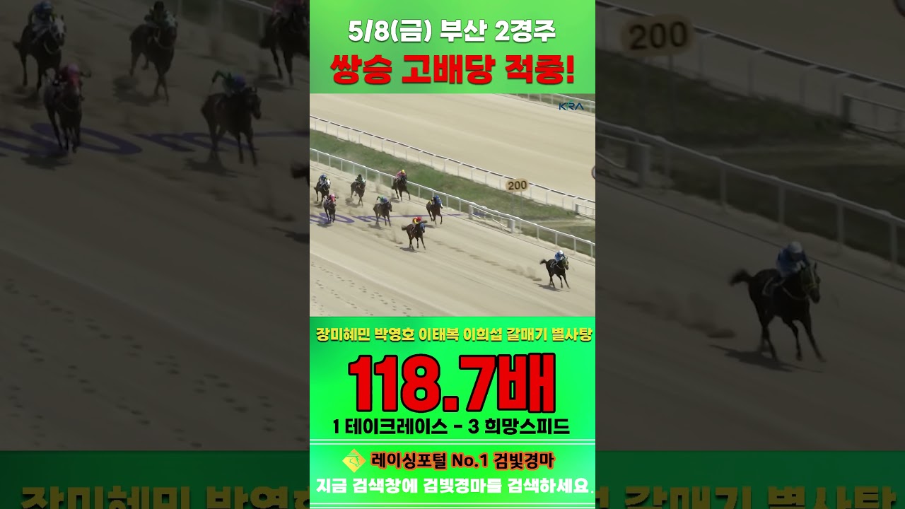[부산 경마] 5월 8일 금요 2경주 장미혜민 박영호 이태복 이희섭 갈매기 별사탕 전문위원 쌍승 고배당 적중 #한국마사회 #경마 #horse #하이라이트 #korean #게임