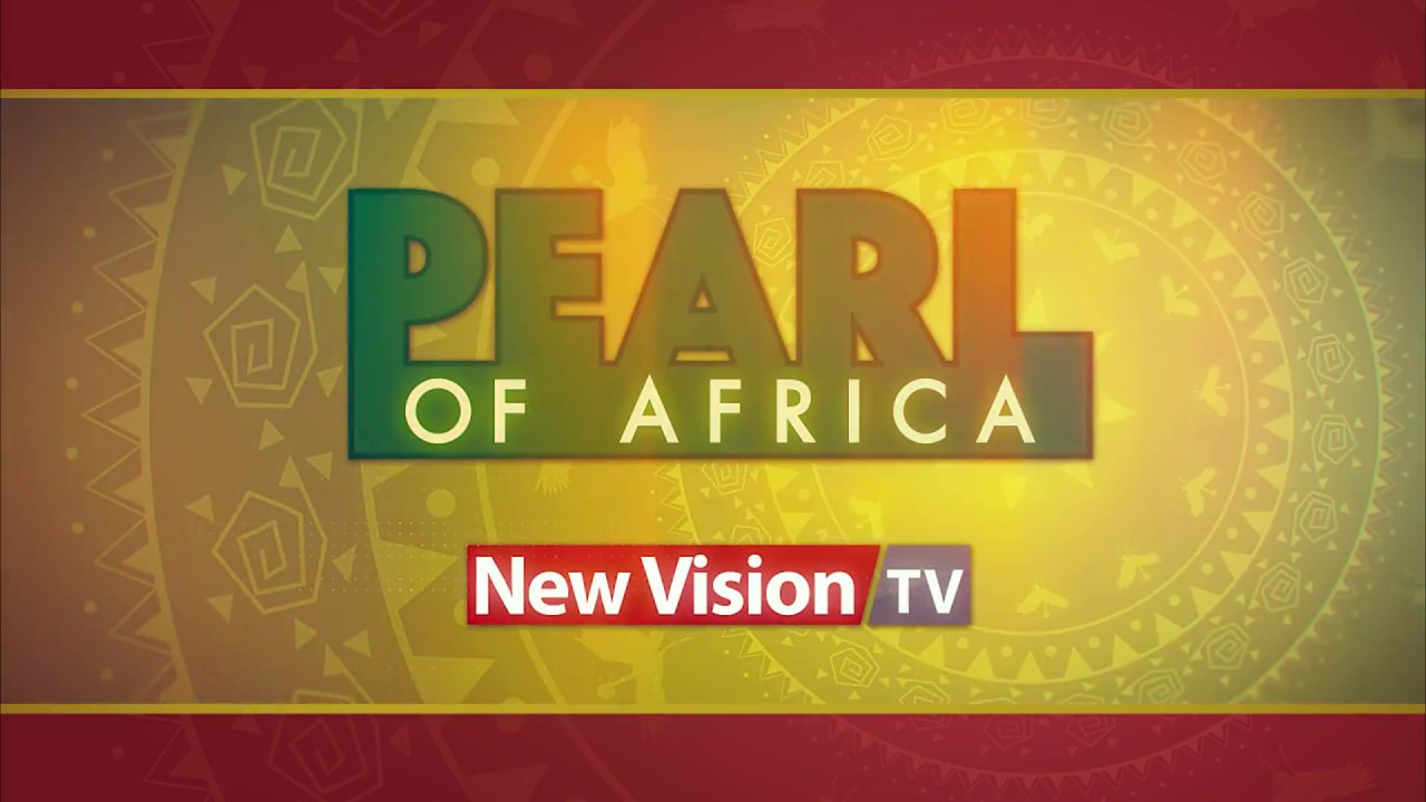 Life in the mud for buffaloes