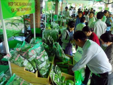 Video Điểm tin Hà Nội ngày 10/11 phần 3 - youtube