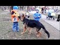 ДЕТИ и ЩЕНОК Немецкой овчарки. Kids and a German Shepherd puppy. Одесса.