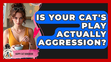 Is Your Cat