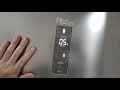 Холодильник Haier C2F636CFFD. купили новый холодильник.небольшой обзор.