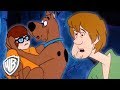 Scooby-Doo! en Latino | El Escape de el Mono | WB Kids