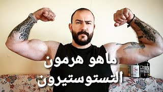 ماهو هرمون التستوستيرون ماهي فوائده ومضاره؟(Testosterone)