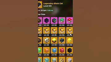 Beoordeel UW Skyblock-profiel in 60 seconden! [15] #hypixelskyblock #skyblock