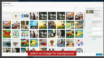 How to Set Body Background Image - Reign BuddyPress Theme - WordPress Community  Theme