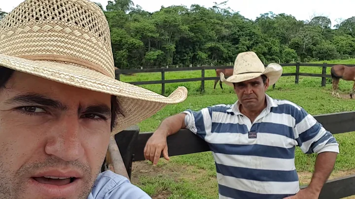 HEY ROY: SEM SENSIBILIDADE NENHUMA