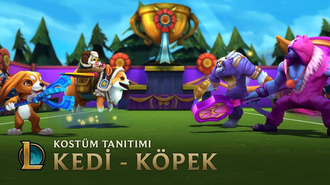 Köpek Ve Kedi Oyunu