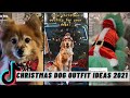 CHRISTMAS DOG OUTFIT IDEAS TIKTOK COMPILATION 2021 #CHRISTMAS #CHRISTMASDOGOUTFITS LET&#39;S just TiKToK