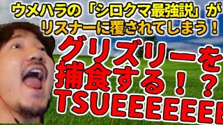 【ウメハラ】現在の陸上動物で「シロクマ最強説」を唱えるウメハラがリスナーに論破されてしまう【シベリアトラ】【グリズリー】【カバ】【ライオン】