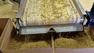 Complete chamomile processing line
