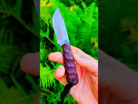 Frontier Trapper AEB-L LT Wright
