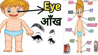 body parts name ( शरीर के अंगों के नाम) head means सिर, nose means नाक) screenshot 3