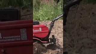 Мотоблок ока обработка огорода для посадки, мотоблок Ока культивация огорода.