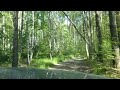 Пьяный лес: едем из леса обратно (2020.06.07)