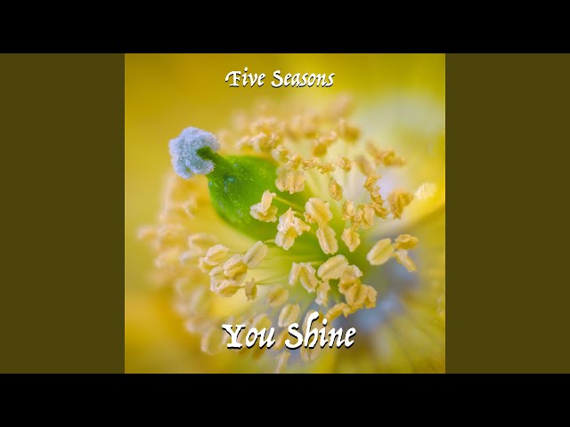 Five Seasons - You Shine