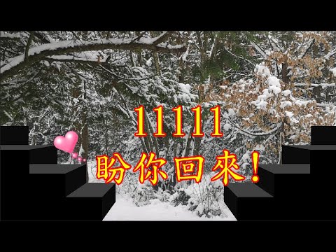 等你回來--- 張學友