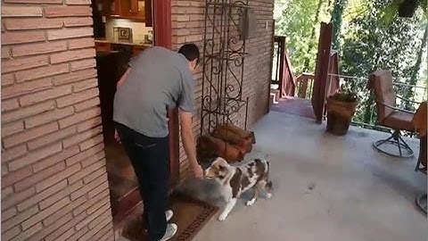 Protective Actions for Radiation Emergencies - Get Inside, Stay Inside, Stay Tuned