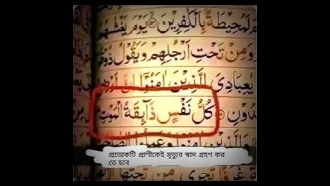 #تلاوة_جميلة #القارئ_عبدالرحمن_مسعد #shortvideo