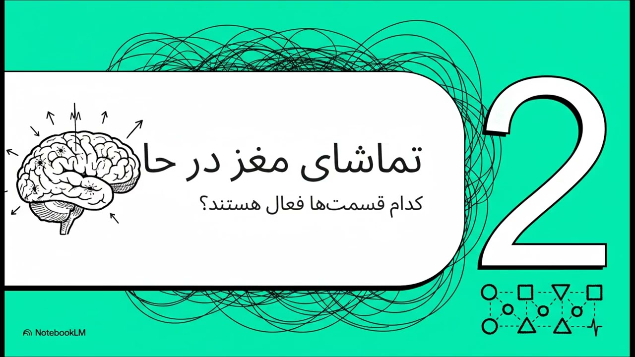 دانشمندان چگونه ذهن یک نوزاد را می خوانند