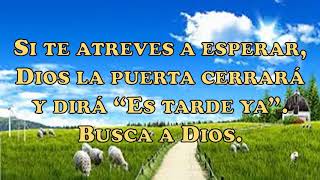 Video thumbnail of "CG-307. Busca a Dios (Pista+Letras=Karaoke)"