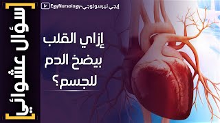 سؤال عشوائي | (7) إزاي القلب بيضخ الدم للجسم؟! - Cardiac cycle