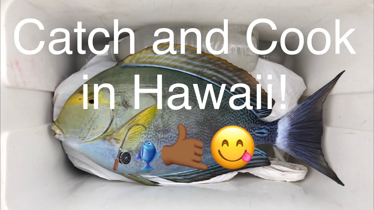 FWF! Episode 6: Teaching How to Catch, Clean, and Fry a Fish in Hawaii - YouTube
