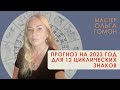 Что ждет в 2023 году 12 циклических знаков