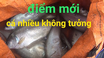Câu cá, dò được điểm mới cá nhiều không tưởng | GÒ CÔNG TV