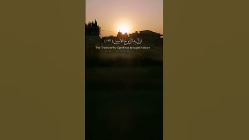 #سورة_الشعراء #اسلام_صبحي #القرآن_الكريم #المصحف#اكسبلور #راحة_نفسية