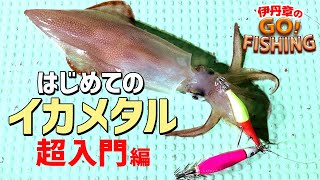 はじめてのイカメタル【超入門編】｜ 伊丹章のGO! FISHING