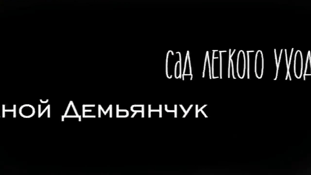 Как вырастить здоровые розы? - YouTube