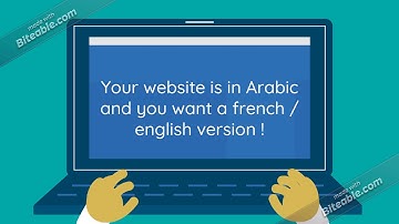 Web and social media content creation in French and English