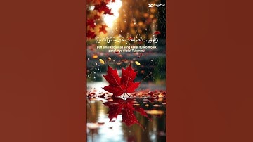 ❤️ #اكسبلور #اذكار #قرآن #duet #دويتو #الصلاة #استغفرالله #لايك #دعاء #راحة_نفسية