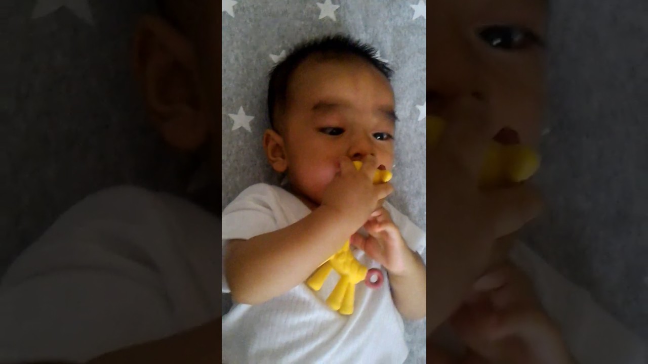 ange giraffe teether review
