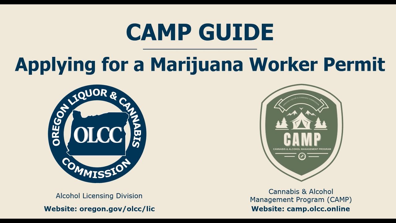 CAMP Guide to Applying for a Marijuana Worker Permit
