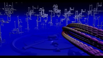 Renewing Groboto Addiction