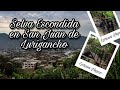 LA SELVA ESCONDIDA DE SAN JUAN DE LURIGANCHO - ¿COMO LLEGAR? TOUR COMPLETO