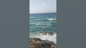 تلاوة عطرة من سورة فاطر للقارئ علي جابر ✨♥️ #القران_الكريم #علي_جابر #القرآن #سورة_فاطر