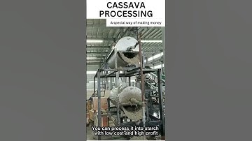 Thumbnail of CASSAVA PROCESSING | A SPECIAL WAY OF MAKING MONEY #shorts