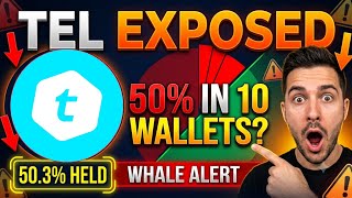 Telcoin Secret: Who Really Holds 50% of TEL? (Token Distribution Exposed)