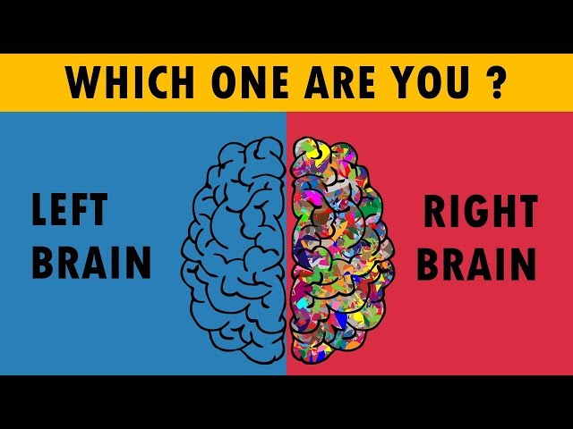 ᐉ Left/Right Brain Test - Take the Left or Right Brain Test for Free