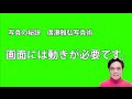 写真の秘訣 構図には動きが必要です。